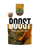 BOOST