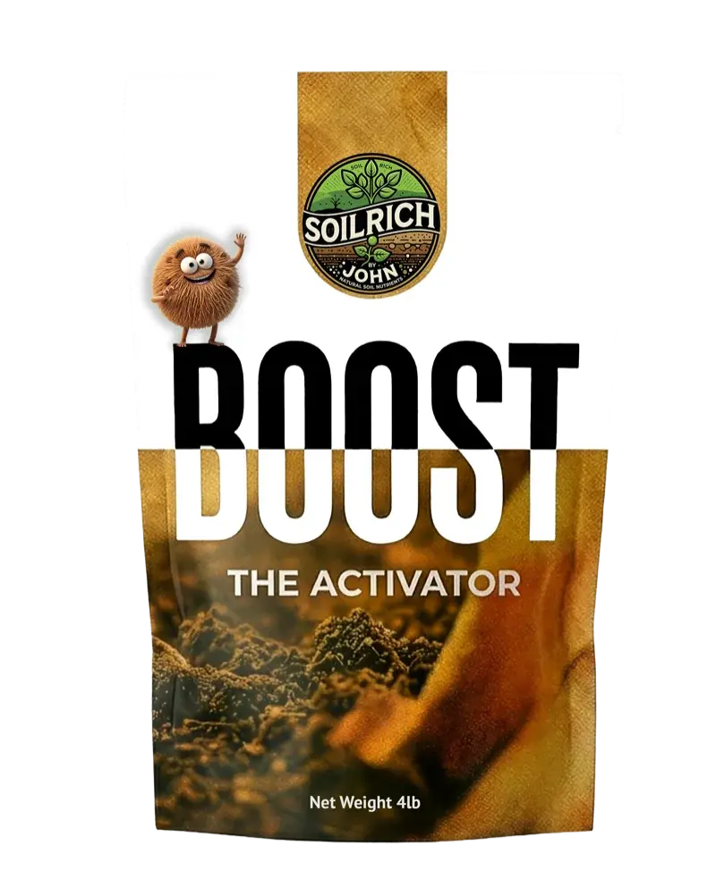BOOST - The Activator