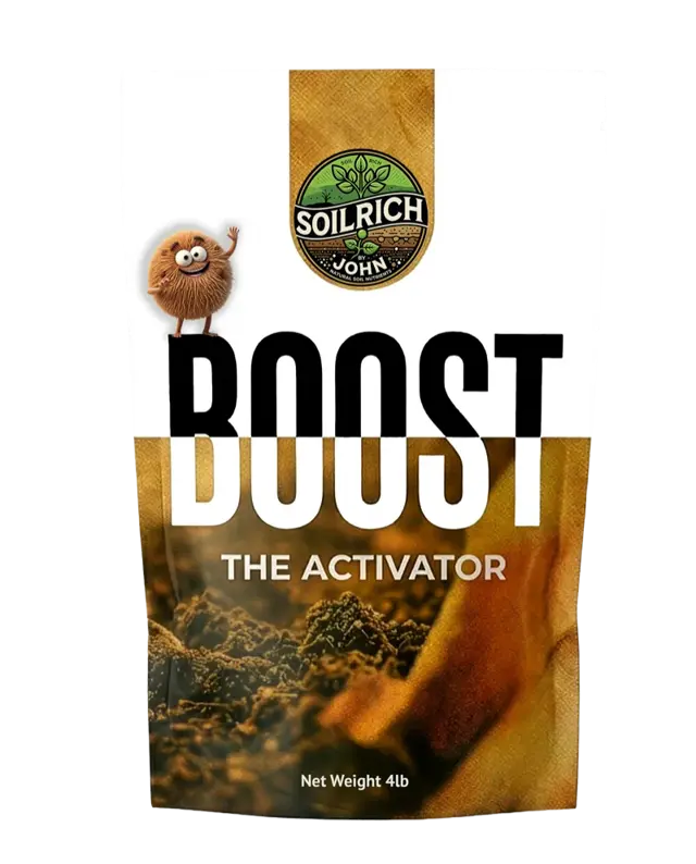 BOOST - The Activator